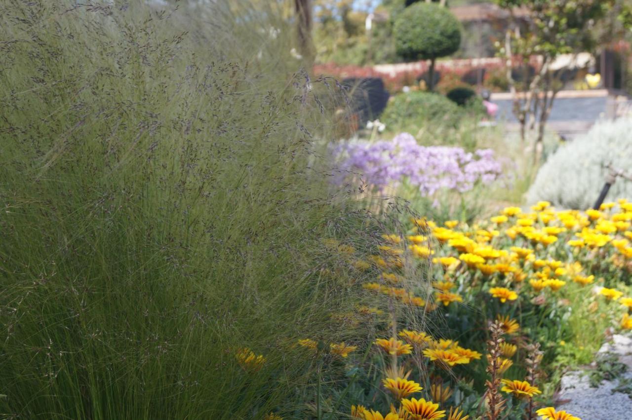 Les Jardins De Santa Giulia - Charmante Chambre D'Hote Porto-Vecchio  Eksteriør billede