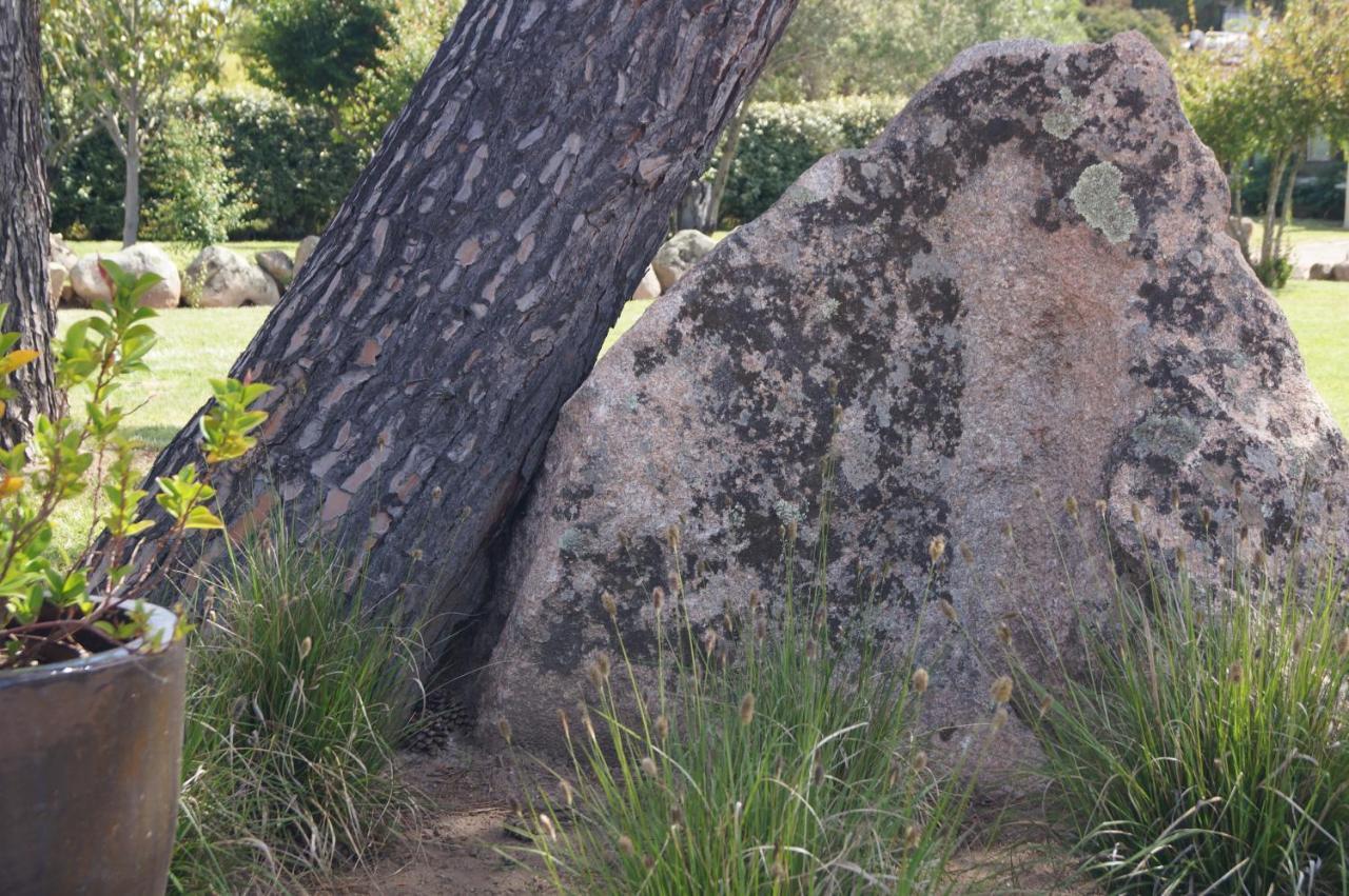 Les Jardins De Santa Giulia - Charmante Chambre D'Hote Porto-Vecchio  Eksteriør billede